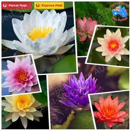 slider images